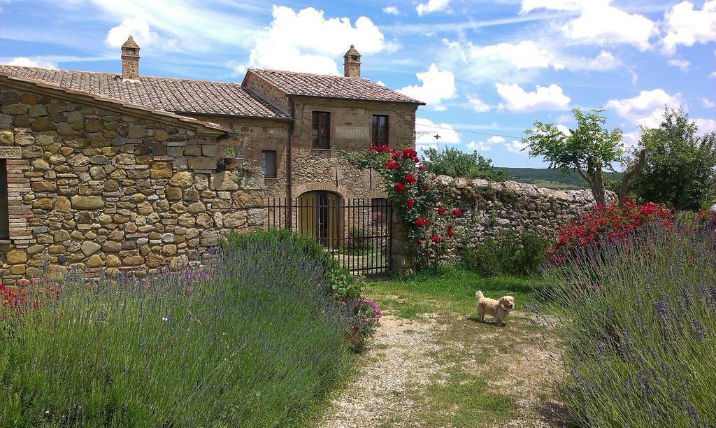Agriturismo Pianoia Pienza Dış mekan fotoğraf