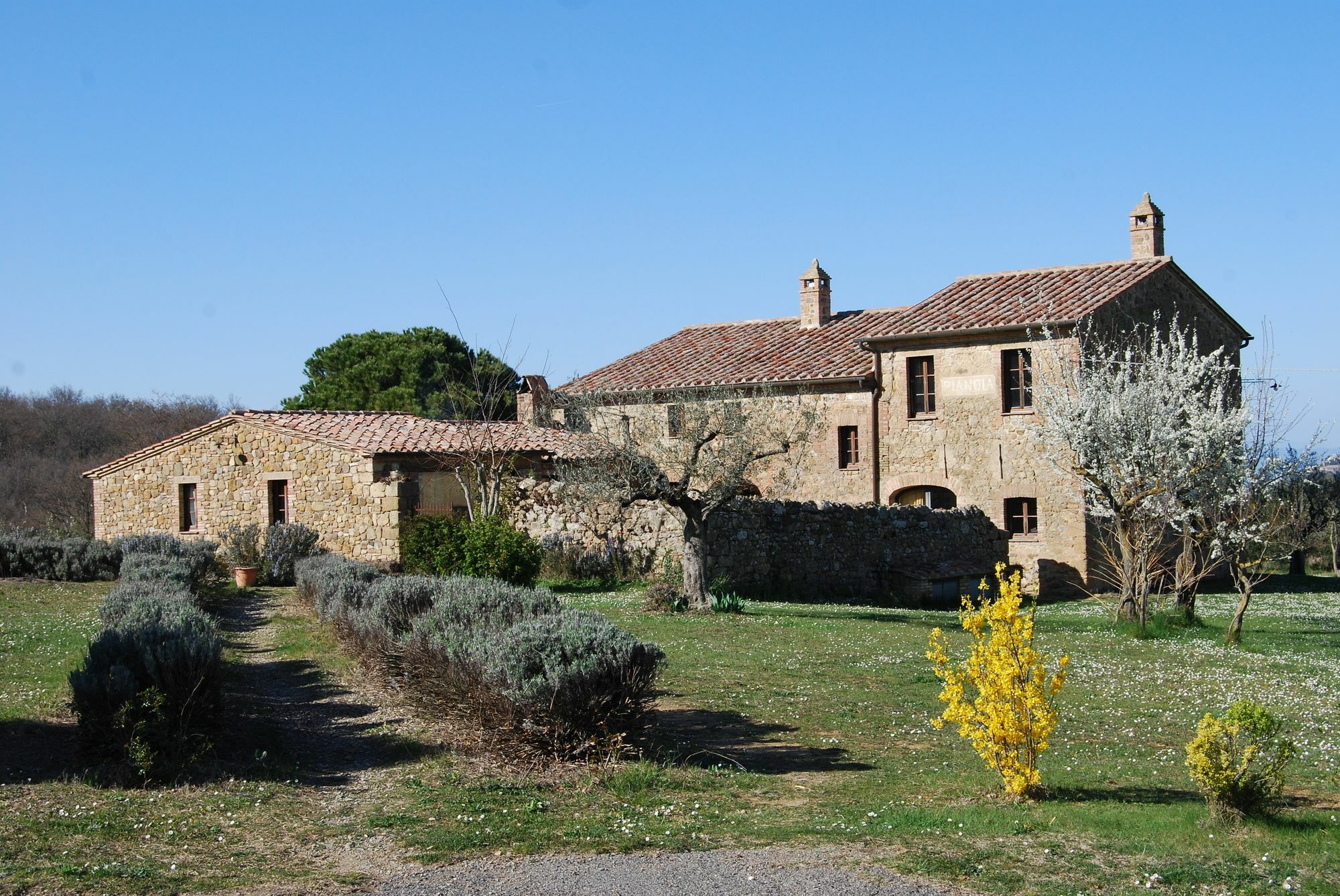 Agriturismo Pianoia Pienza Dış mekan fotoğraf